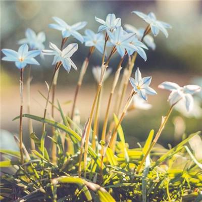 kok中欧登录入口截图